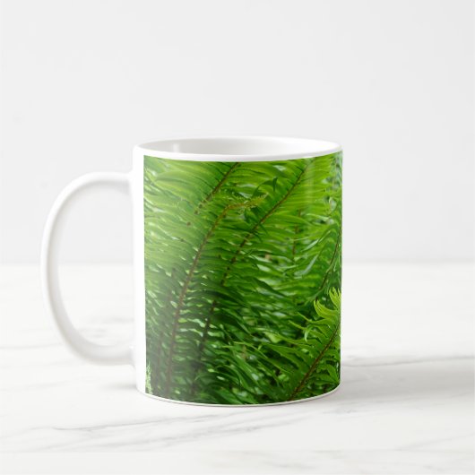 Grüne Farne Kaffeetasse (Links)