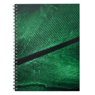 Grüne Feder, schöne Muster Textur. Notizblock