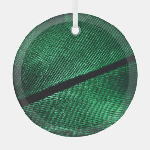 Grüne Feder, schöne Muster Textur. Ornament Aus Glas