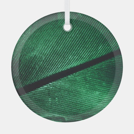 Grüne Feder, schöne Muster Textur. Ornament Aus Glas (Vorderseite)