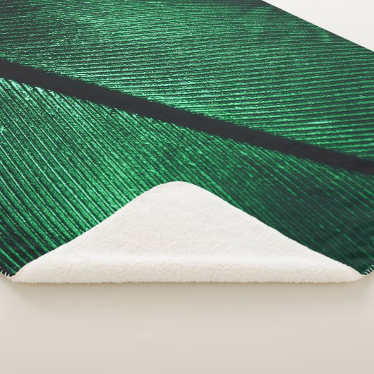 Grüne Feder, schöne Muster Textur. Sherpadecke (3/4)