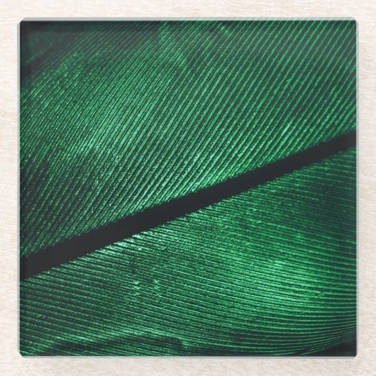 Grüne Feder, schöne Mustertextur. Glasuntersetzer (Vorderseite)