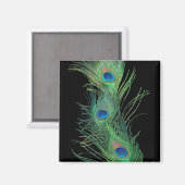 Grüne Federn mit Schwarz Magnet (Vorderseite/Rückseite)