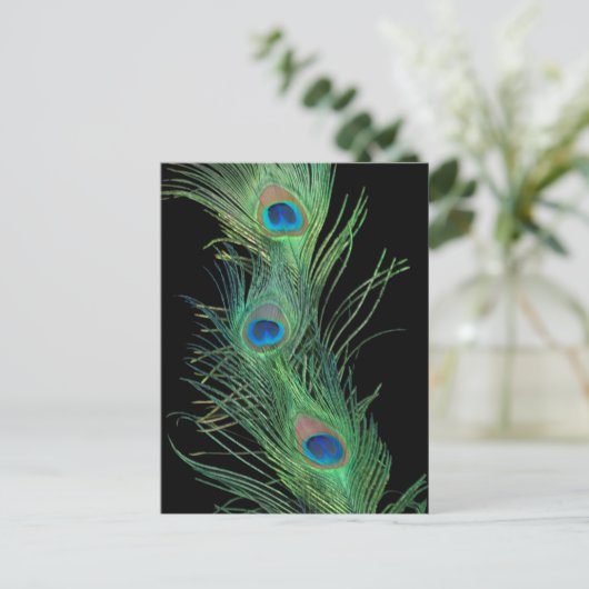 Grüne Federn mit Schwarz Postkarte (Stehend Vorderseite)