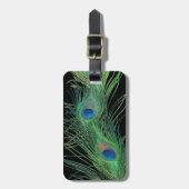Grüne Federn mit Schwarzem Gepäckanhänger (Vorderseite vertikal)