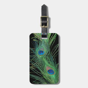 Grüne Federn mit Schwarzem Gepäckanhänger