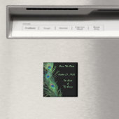 Grüne Federn mit schwarzer Hochzeit speichern das Magnet (In Situ (Geschirrspüler))