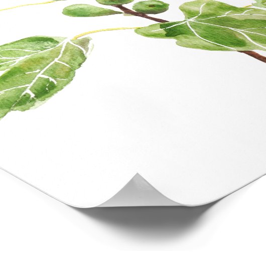 grüne Feigenfarben-Blätter Poster (Ecke)