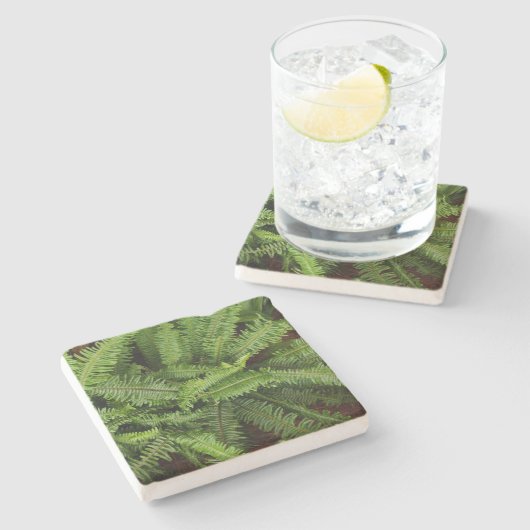 Grüne Fern Textur, Stone Untersetzer (Seitenansicht)