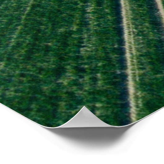 Grüne Fläche Poster (Ecke)