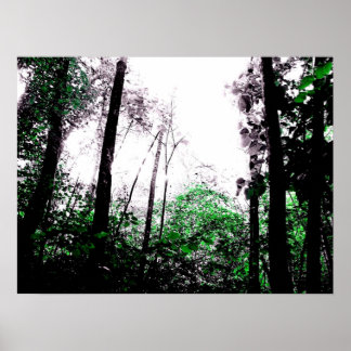 Grüne Flächen Poster