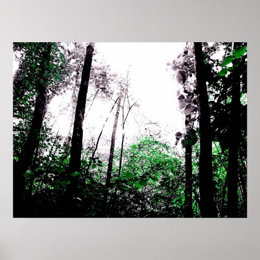 Grüne Flächen Poster (Vorne)