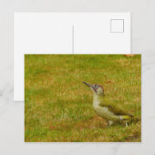 Grüne Fleckenkarte Postkarte (Vorne/Hinten)
