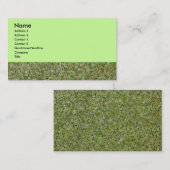 Grüne Fliese Visitenkarte (Vorne/Hinten)