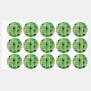 Grüne Fliesen Etiketten