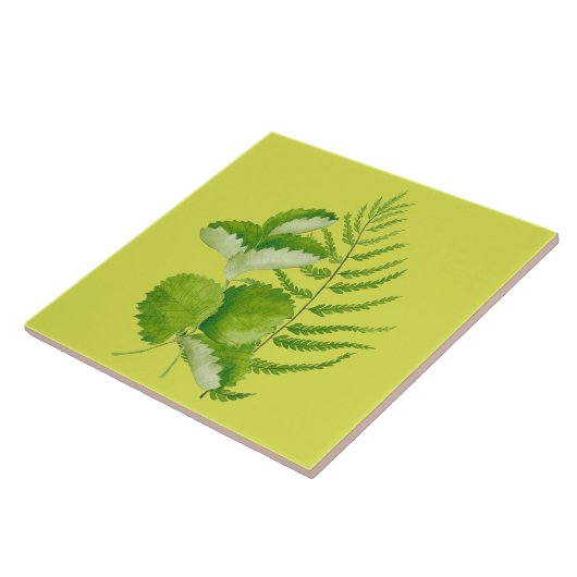 Grüne Formulare auf einer Keramik Fliese (Seite)