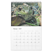 Grüne Frosch-Kalender 2016 Kalender (Feb 2027)