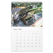 Grüne Frosch-Kalender 2016 Kalender (Jan 2027)