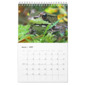 Grüne Frosch-Kalender 2016 Kalender (Mär 2027)