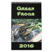 Grüne Frosch-Kalender 2016 Kalender (Titelbild)