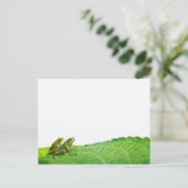 Grüne Frösche am verlass Postkarte (Stehend Vorderseite)
