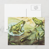 Grüne Frösche, Tierdarstellung Postkarte (Vorne/Hinten)