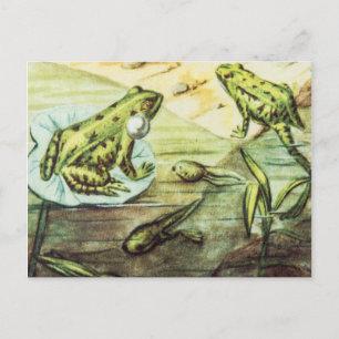 Grüne Frösche, Tierillustration Postkarte