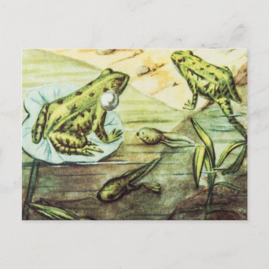 Grüne Frösche, Tierillustration Postkarte (Vorderseite)
