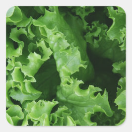 Grüne Frucht von pflanzlichen Lebensmitteln Quadratischer Aufkleber