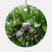 Grüne Früchte eines Mandelbaums Keramikornament (Vorne)