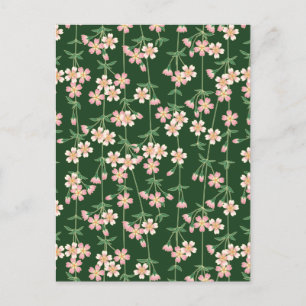 Grüne Frühlingssonne Natur Blumenkirsche Blüten Feiertagspostkarte