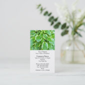 Grüne Gartenhosta-Pflanzen-botanische Gewohnheit Visitenkarte (Stehend Vorderseite)