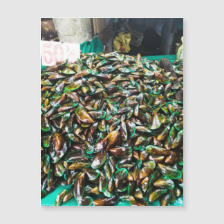 Grüne geklebte Mussels für den Verkauf von Magnetk Magnetkarte