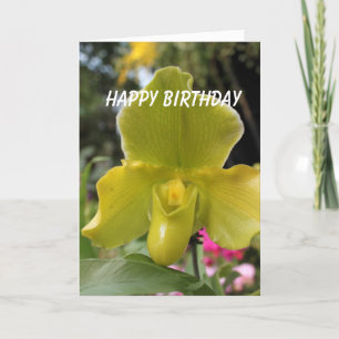 grüne gelbe Orchideenblüten Alles Gute zum Geburts Karte