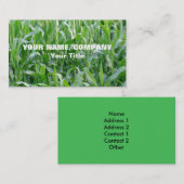 Grüne Getreidefeld-Landwirtschaft Visitenkarte (Vorne/Hinten)