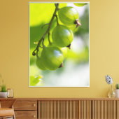 Grüne Goosebeeren CC0307 Große Leinwanddruck (Insitu (Wohnzimmer))