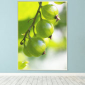 Grüne Goosebeeren CC0307 Große Leinwanddruck (Insitu (Holzboden))