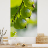 Grüne Gooseberries CC0208 Weckte up Poster (Küche)