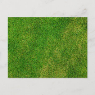 Grüne Gras Textur Postkarte