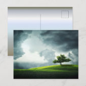 Grüne Grasberge des Sommers Postkarte (Vorne/Hinten)