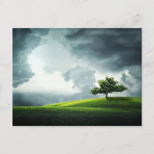 Grüne Grasberge des Sommers Postkarte (Vorderseite)