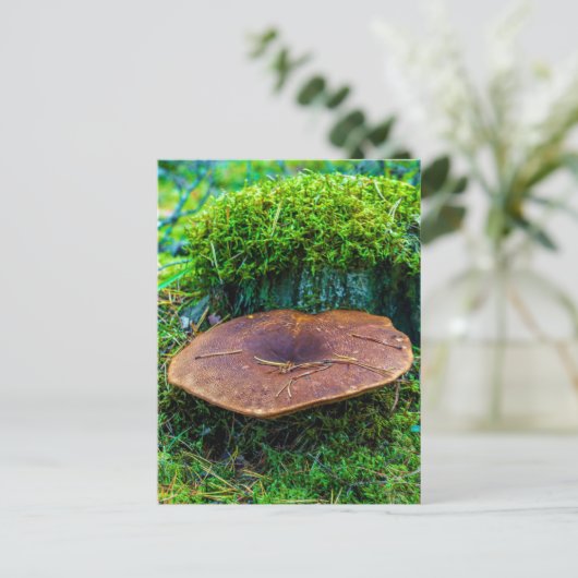 Grüne Graslandschaft von Morrel Postkarte (Stehend Vorderseite)