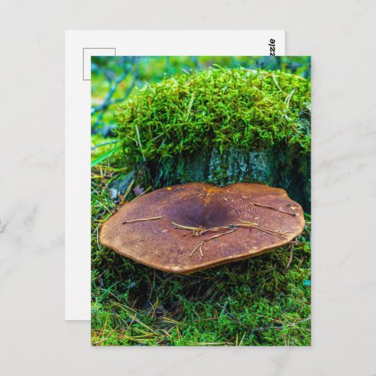 Grüne Graslandschaft von Morrel Postkarte (Vorne/Hinten)