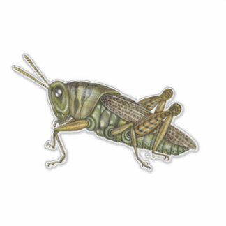 Grüne Grasshopper Aufkleber