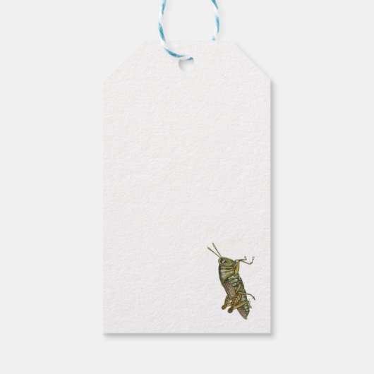 Grüne Grasshopper Geschenkanhänger (Rückseite)