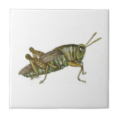 Grüne Grasshopper-Keramik Fliese (Vorderseite)