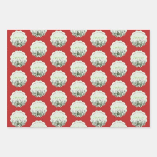 Grüne Grasshopper & Ladybug Kinder Insekten Geburt Geschenkpapier Set (Vorderseite 3)