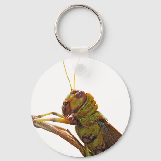 Grüne Grasshopper nahe Details Schlüsselanhänger (Vorderseite)