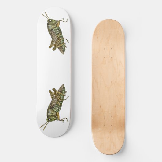 Grüne Grasshopper Skateboard (Vorderseite)