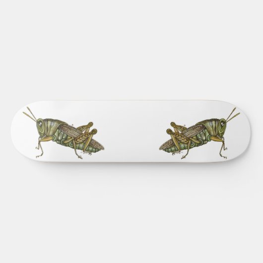 Grüne Grasshopper Skateboard (Horizontal)